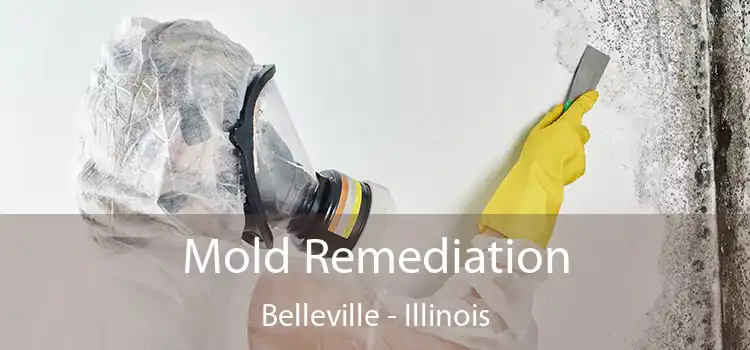 Mold Remediation Belleville - Illinois