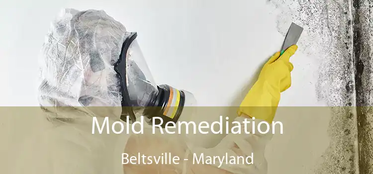 Mold Remediation Beltsville - Maryland