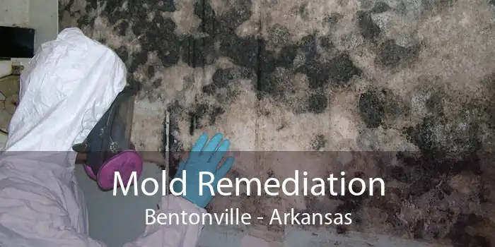 Mold Remediation Bentonville - Arkansas