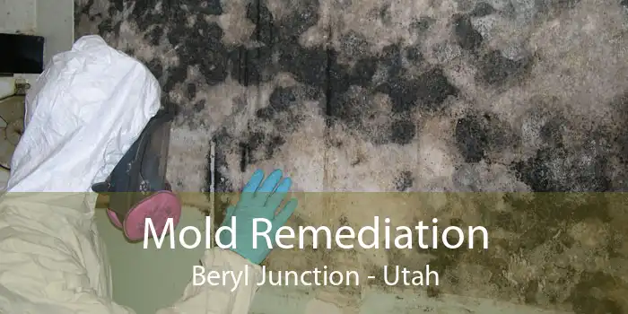 Mold Remediation Beryl Junction - Utah