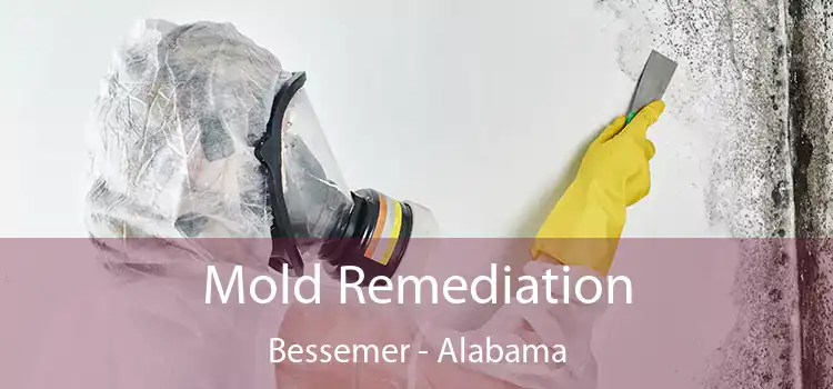 Mold Remediation Bessemer - Alabama