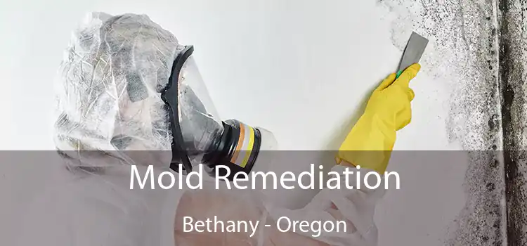 Mold Remediation Bethany - Oregon