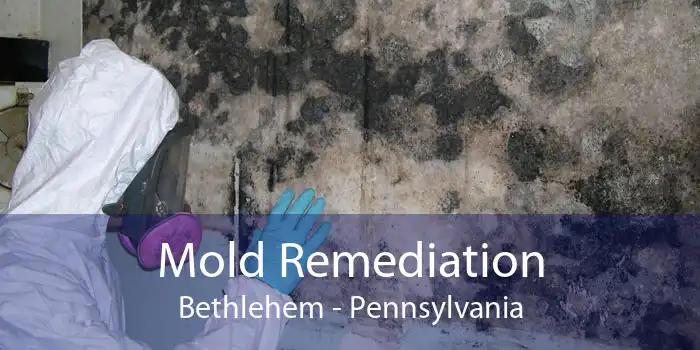 Mold Remediation Bethlehem - Pennsylvania