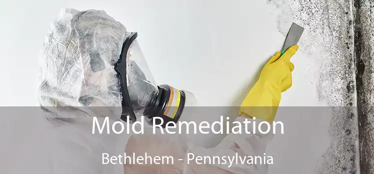 Mold Remediation Bethlehem - Pennsylvania