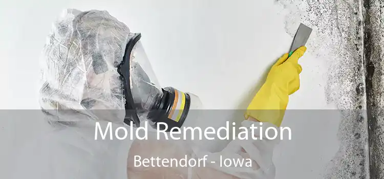 Mold Remediation Bettendorf - Iowa