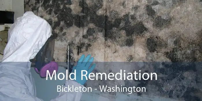 Mold Remediation Bickleton - Washington