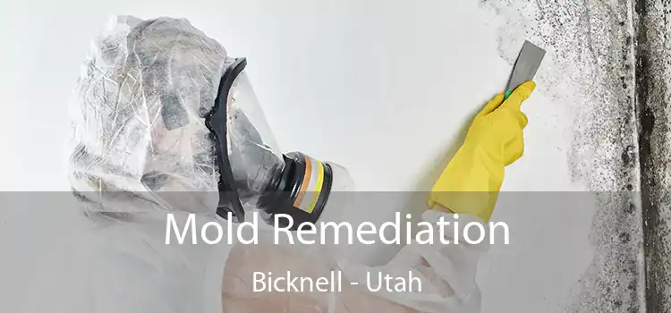 Mold Remediation Bicknell - Utah