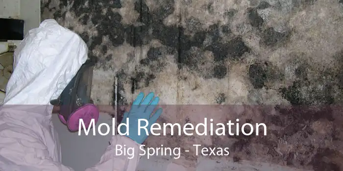 Mold Remediation Big Spring - Texas