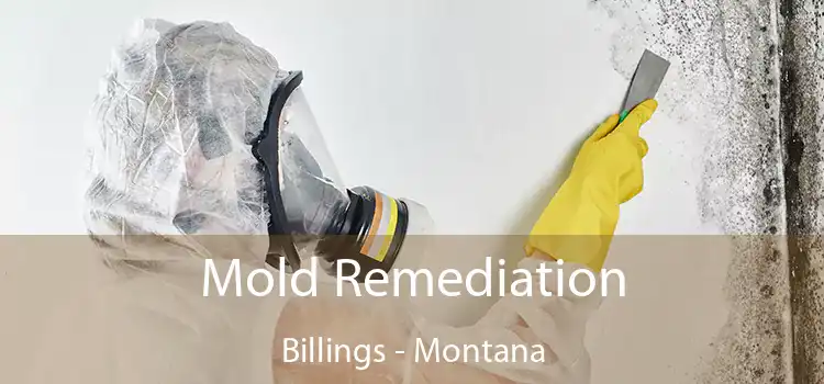 Mold Remediation Billings - Montana