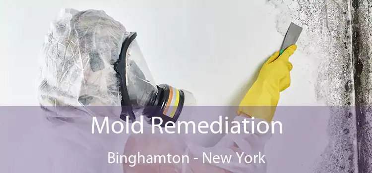 Mold Remediation Binghamton - New York