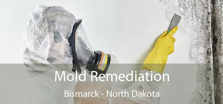 Mold Remediation Bismarck - North Dakota