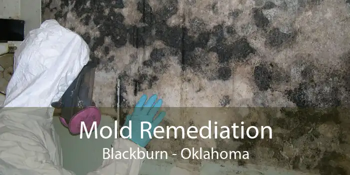 Mold Remediation Blackburn - Oklahoma