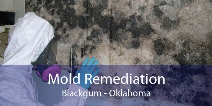 Mold Remediation Blackgum - Oklahoma