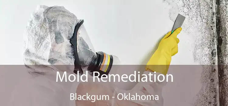 Mold Remediation Blackgum - Oklahoma