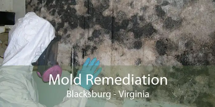 Mold Remediation Blacksburg - Virginia