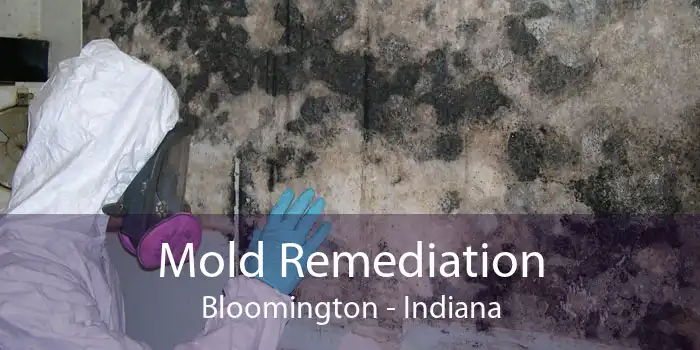 Mold Remediation Bloomington - Indiana