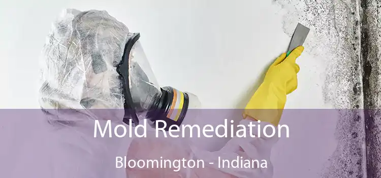 Mold Remediation Bloomington - Indiana