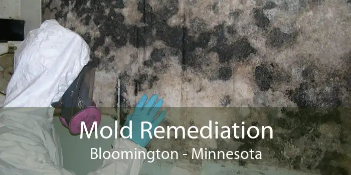 Mold Remediation Bloomington - Minnesota