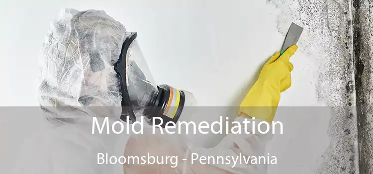 Mold Remediation Bloomsburg - Pennsylvania