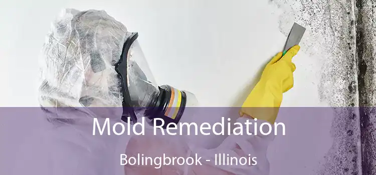 Mold Remediation Bolingbrook - Illinois