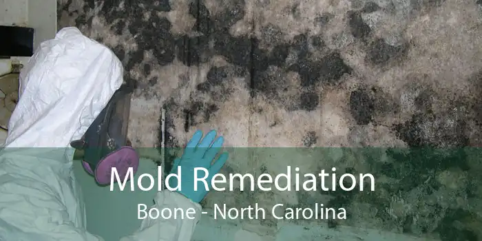 Mold Remediation Boone - North Carolina