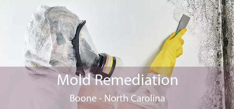 Mold Remediation Boone - North Carolina