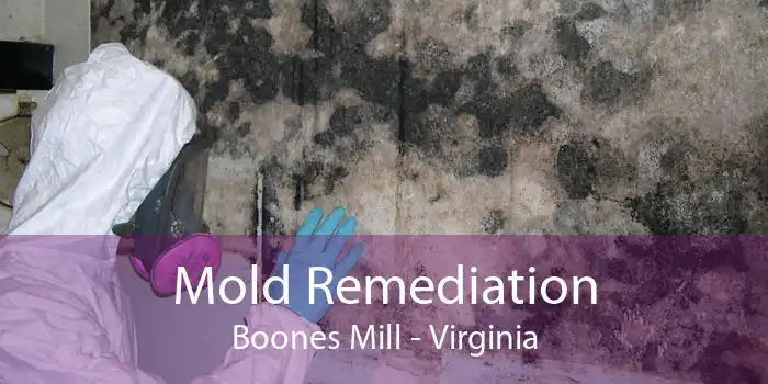 Mold Remediation Boones Mill - Virginia