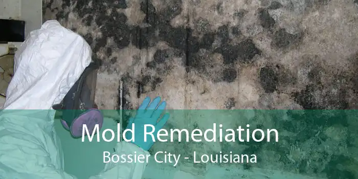 Mold Remediation Bossier City - Louisiana