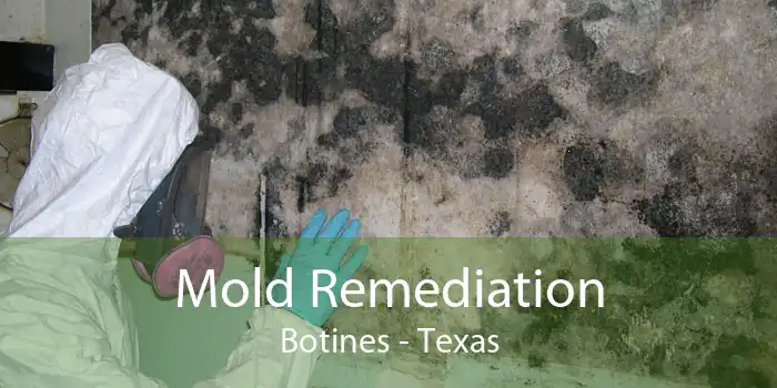 Mold Remediation Botines - Texas