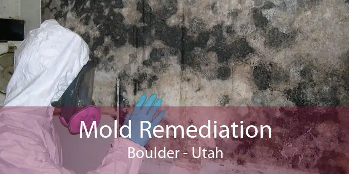 Mold Remediation Boulder - Utah