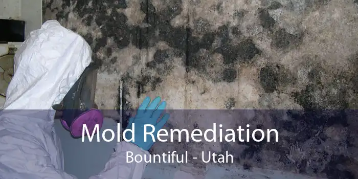 Mold Remediation Bountiful - Utah