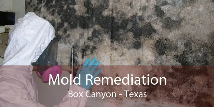 Mold Remediation Box Canyon - Texas