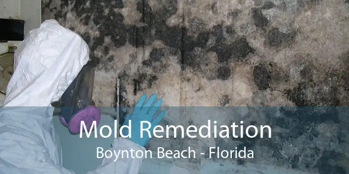 Mold Remediation Boynton Beach - Florida
