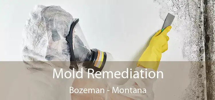 Mold Remediation Bozeman - Montana