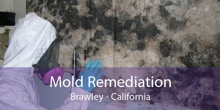 Mold Remediation Brawley - California