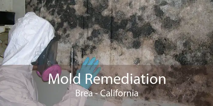 Mold Remediation Brea - California