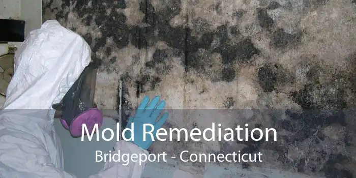 Mold Remediation Bridgeport - Connecticut