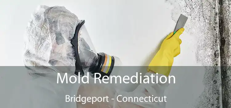 Mold Remediation Bridgeport - Connecticut