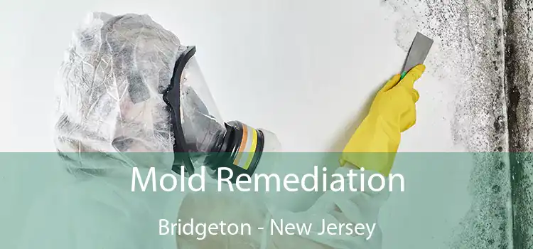 Mold Remediation Bridgeton - New Jersey