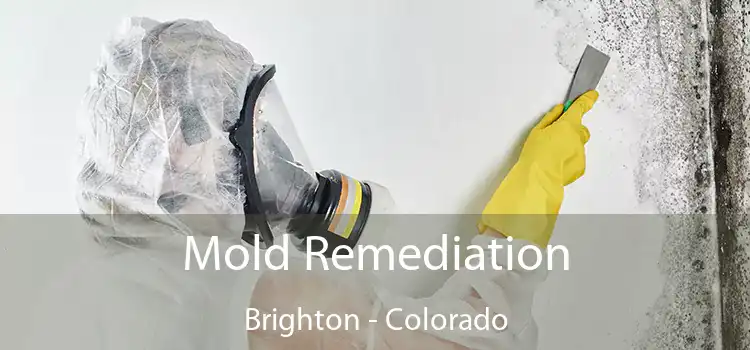 Mold Remediation Brighton - Colorado