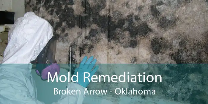 Mold Remediation Broken Arrow - Oklahoma