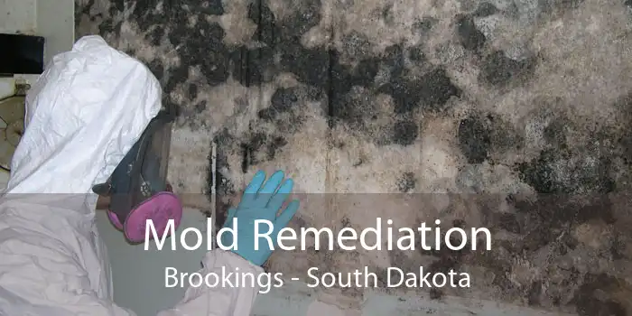 Mold Remediation Brookings - South Dakota
