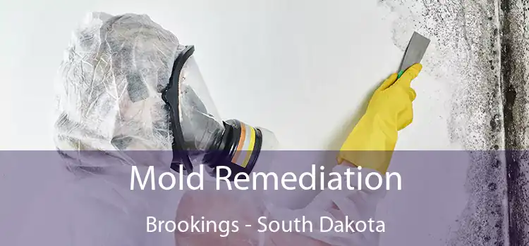 Mold Remediation Brookings - South Dakota