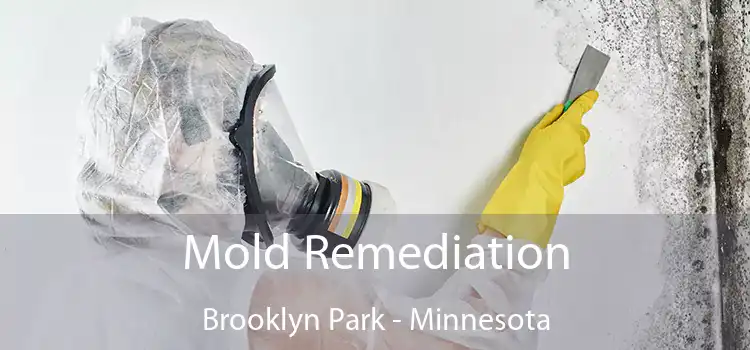 Mold Remediation Brooklyn Park - Minnesota