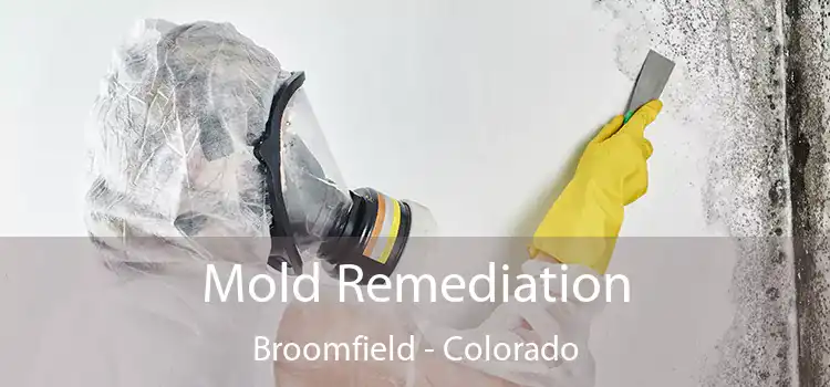 Mold Remediation Broomfield - Colorado