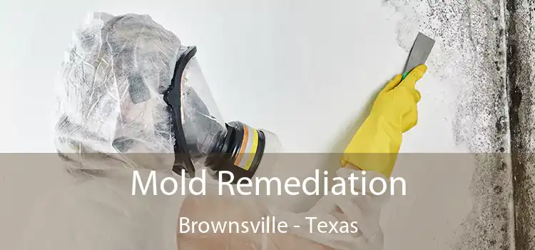 Mold Remediation Brownsville - Texas