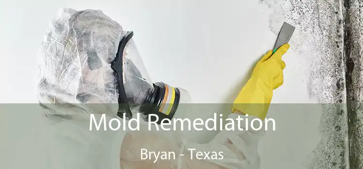 Mold Remediation Bryan - Texas