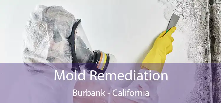 Mold Remediation Burbank - California