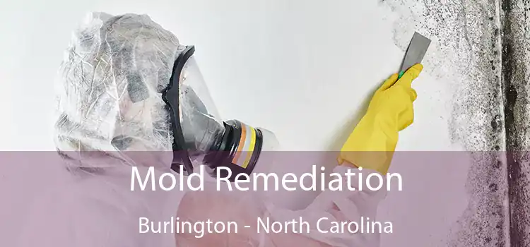 Mold Remediation Burlington - North Carolina