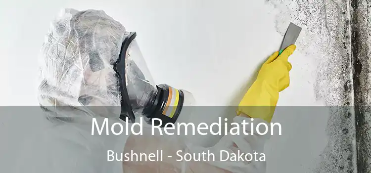 Mold Remediation Bushnell - South Dakota